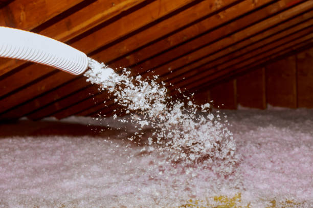 Trusted Arlington, MN Insulation Contractor Experts