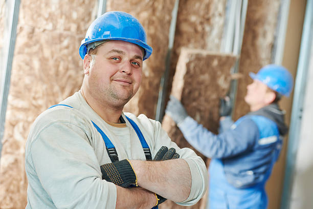 Best Cellulose Insulation in Arlington, MN